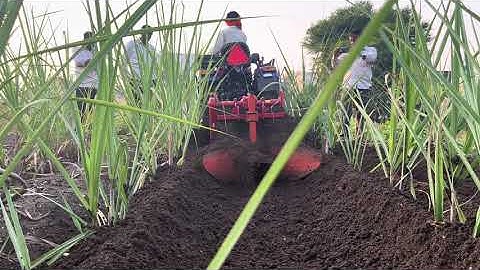 BHUDEV Reverse Forward Rotavator BHRF 2.5 FEET/भूदेव रिव्हर्स फॉरवर्ड रोटाव्हेटर BHRF 2.5 FEET