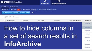How to hide columns in a set of search results | OpenText InfoArchive