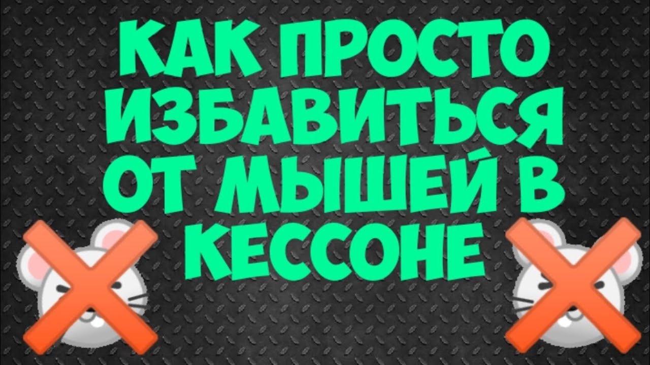 Как избавиться от мышей в кессоне/погребе!