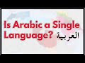 Is Arabic a Single Language???