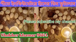 ইনকিউবেটরে শীতে হাঁসের ডিম ফুটানোর কৌশল।। Incubator duck eggs hatching।।