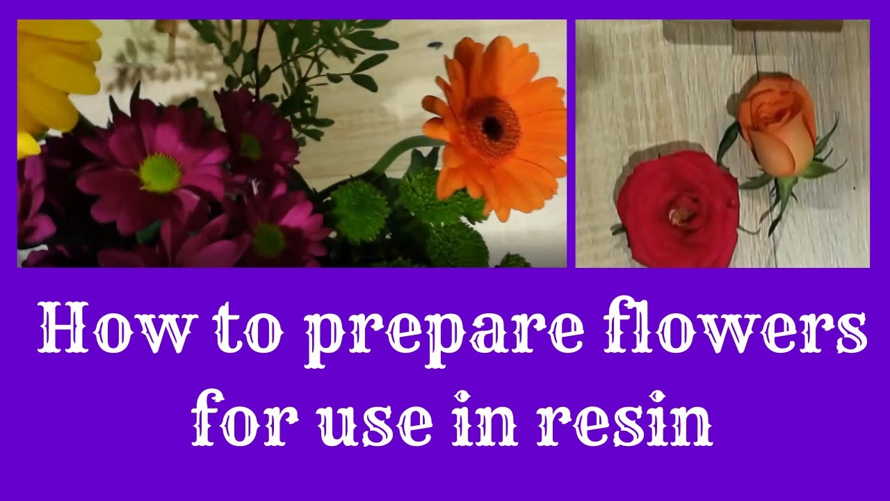 Flower Preparation how I press and dry fresh flowers ready to be
