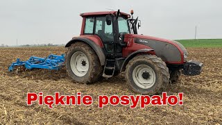 #414- Podsumowanie plonów kukurydzy 2020! Uprawa bezorkowa pod pszenice! Valtra t140+ Mandam Spec 3m