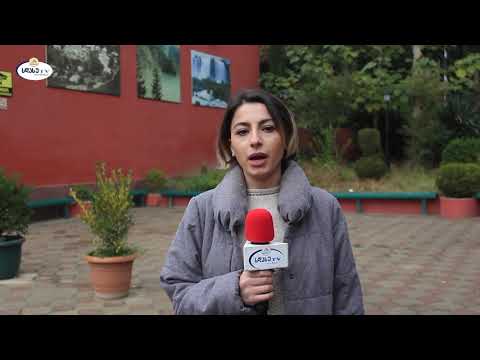 ამინდის პროგნოზი 21.11.2019  ია ხეჩუმაშვილი