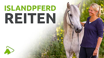 Sind Isländer einfach zu reiten?