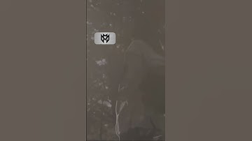 Adapt or Get Left Behind  Embrace Change #motivation #jordanpetersonsmotivation #selfimprovement