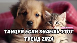 💗ТАНЦУЙ ЕСЛИ ЗНАЕШЬ ЭТОТ ТРЕНД 2024💗