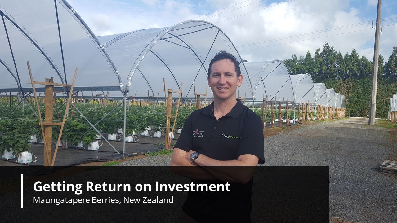 Getting return on investment