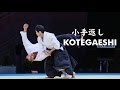 Kotegaeshi - 【Aikido】Shirakawa Ryuji sensei