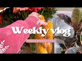 Weekly vlog 35 du mas dans les bouquets 