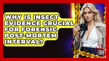 Why Is Insect Evidence Crucial For Forensic Post-mortem Interval? - True Crime Lovers
