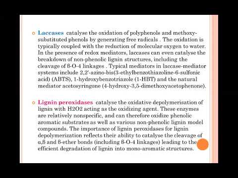 Video: In Silico Ontworpen Lignine Toont Peroxidase Van Phanerochaete Chrysosporium Verbeterde Zuurstabiliteit Voor Depolymerisatie Van Lignine