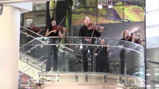 Raleigh Symphony Orchestra - Flash Mob