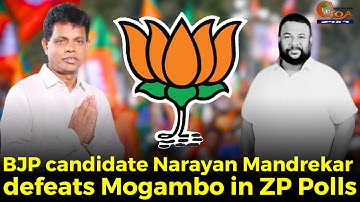 Lotus blooms in Anjuna! BJP candidate Narayan Mandrekar defeats Mogambo in ZP Polls