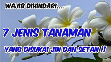 Wajib Dihindari, Inilah 7 Jenis Tanaman Yang Disukai Jin Dan Setan !!