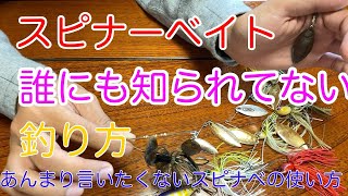 【解説】ここだけの話、釣れるスピナーベイトの使い方教えます。