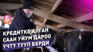 Кредитке алган саан уйум дароо үчтү тууп берди