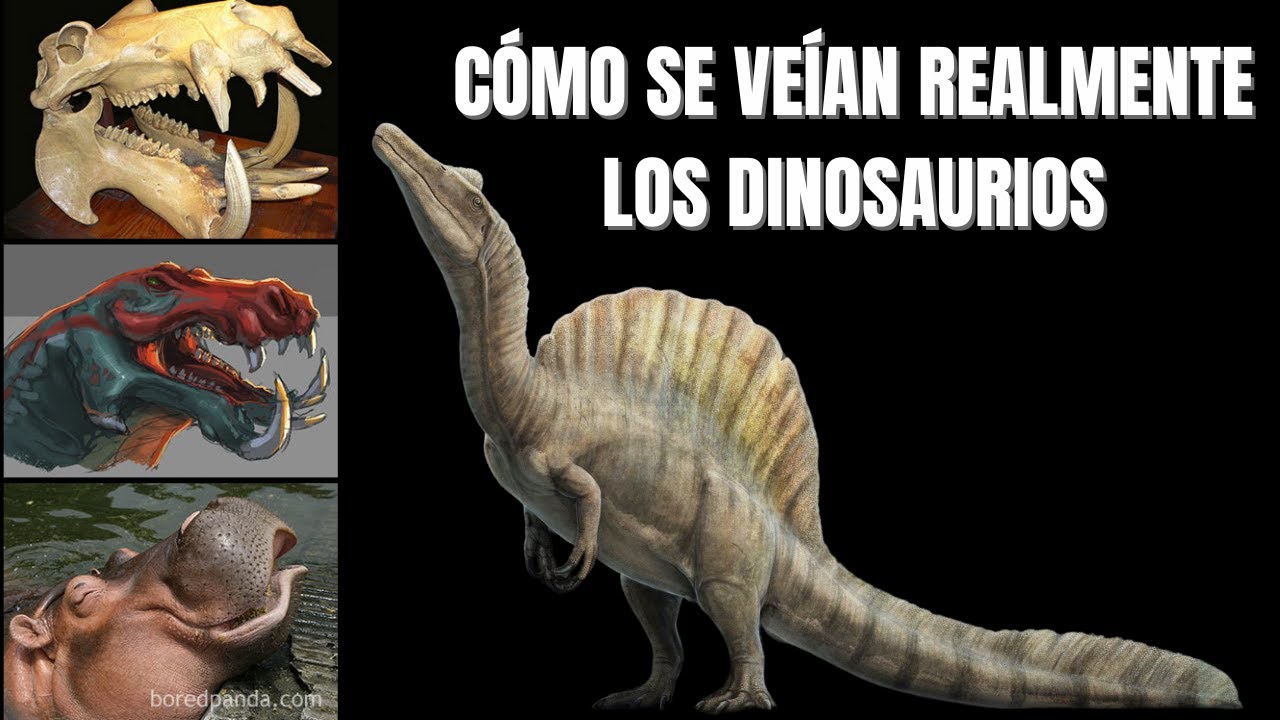 ¿CÓMO SE RECONSTRUYEN A LOS DINOSAURIOS Y OTROS ANIMALES PREHISTÓRICOS?