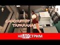 Не(до)стрим | Cockroach Simulator; GTA Online (16.11.16)