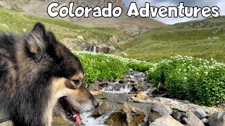 Colorado Adventures Outdoors with our Dogs - Channel Update by Life With Lappys 168 views 2 years ago 3 minutes, 23 seconds