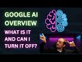 GOOGLE AI IS TAKING OVER OUR SEARCHES! Can we turn this off?