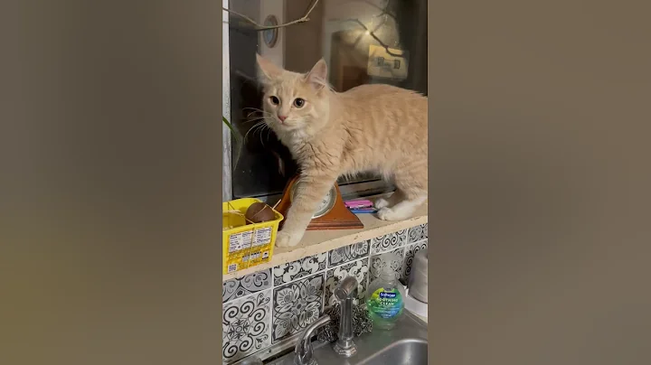 get down