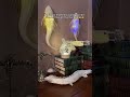 Is it a lamp or a fish ??? #skeleton #taxidermy #goldfish #lamp #fishlamp