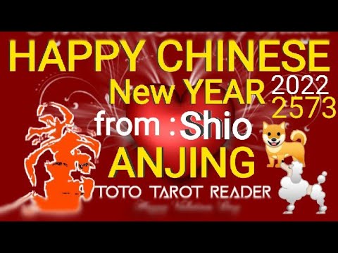 Video: Horoskop Kompatibilitas Timur: Babi Dan Anjing