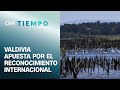 Postulan a Valdivia como &quot;ciudad humedal&quot; | CNN Tiempo