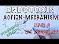 Mechanism of Endotoxins | Pyrogen Activation & LPS Structure