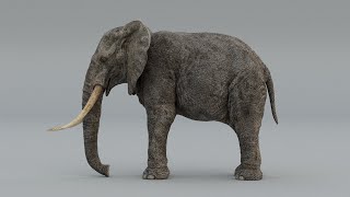 Elephant 3d model Render (slow)
