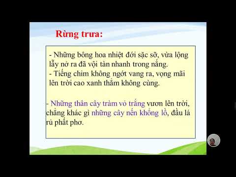 Tuần 2 - TLV: Luyện tập tả cảnh