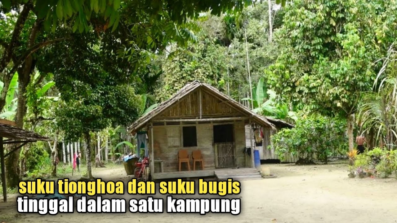 Suku Tionghoa dan Bugis tinggal dalam satu kampung di Kalimantan