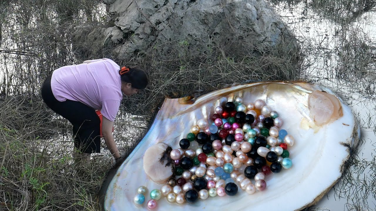 Look For And Find Freshwater Clams In The Silt And Colorful Pearls look-for-and-find-freshwater-clams-in-the-silt-and-colorful-pearls