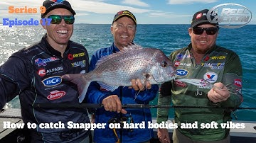 How to catch Snapper on hard bodies and soft vibes