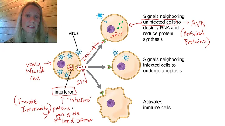 Treating Viral Infections