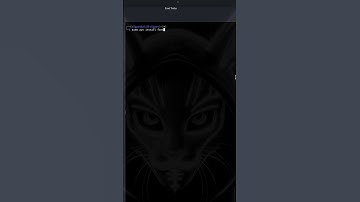 fortune | bug bounty hunting | Hacking tricks | Linux #hackingprevention #infosec #coding