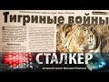 Сталкер │ 09.02.2019 │ Бизнес на Амуре - глава вторая. Новые подробности истории.