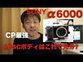 ソニー α6000 CP最強・故障歴２回・このカメラからソニー の追従AFは使えるレベルになりました。