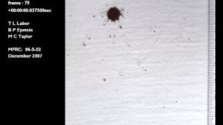 Blood drop falling 100 cm to a 80 degree cotton | Blood Spatter Analysis