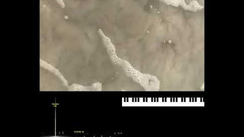 Series01 - Processing and Premier - Musica Visual