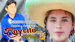 ROYCITO DEL AMOR_2023_Regresa Amor mío-Official Youtube