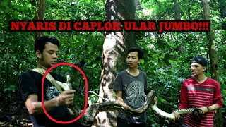 MENCARI ULAR LAUT DI PELABUAN RATU