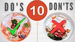 Top 10 Raw Feeding Do's And Don'ts