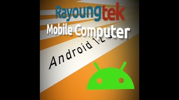 Rayoungtek Mobile Computer N70 N60 Built-in Barcode Scanner