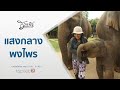 แสงกลางพงไพร : ชีวิตจริงยิ่งกว่าละคร (27 ก.ค. 64)