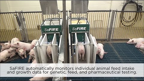 SaFIRE (Small Animal Feed Intake Recording Equipment)