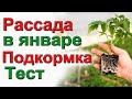 Подкормка рассады Не мучайтесь!