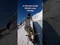 Better sending than waiting #fullsend #ski #skiedit #mtb