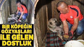 Surekli Aglayan Kopegin Ayaginin Kirik Oldugu Anlasildi Youtube